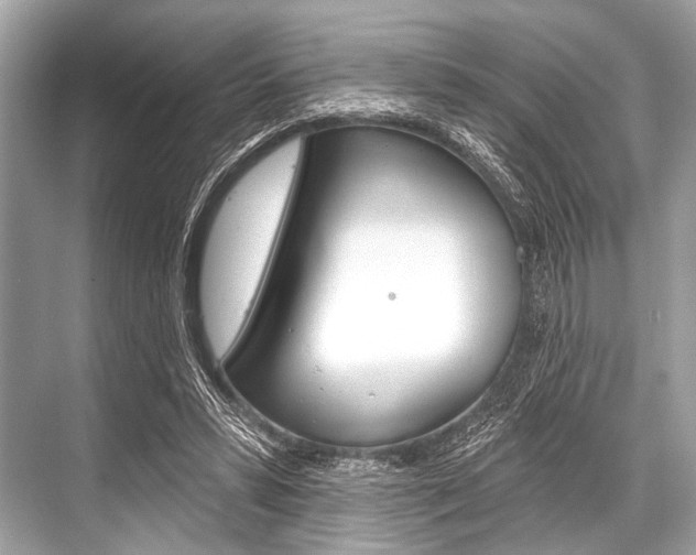 X0000068820399200605050947