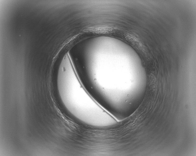 X0000068820400200605050947