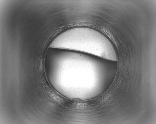 X0000068820401200605050947