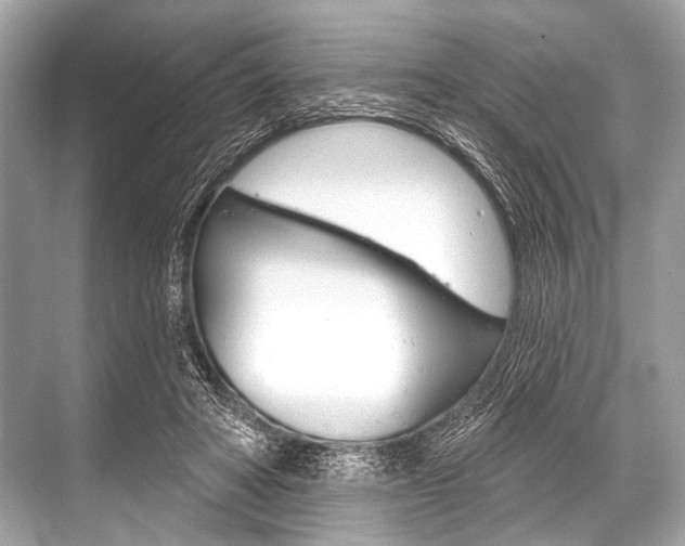 X0000068820402200605050947