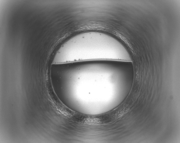 X0000068820403200605050947