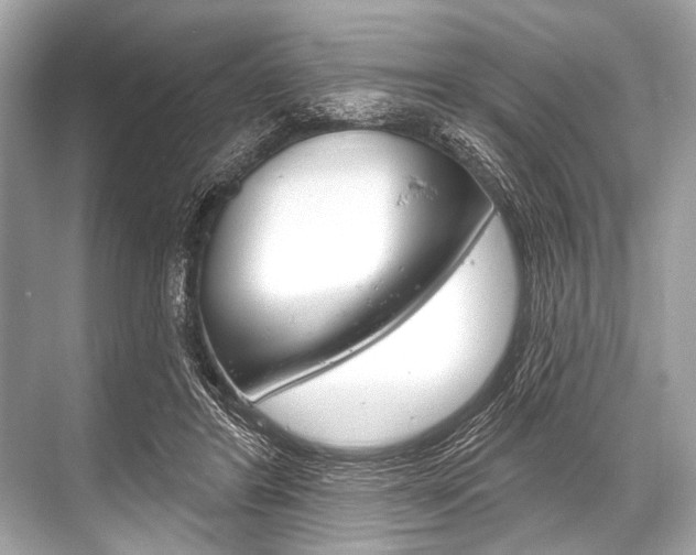 X0000068820404200605050947