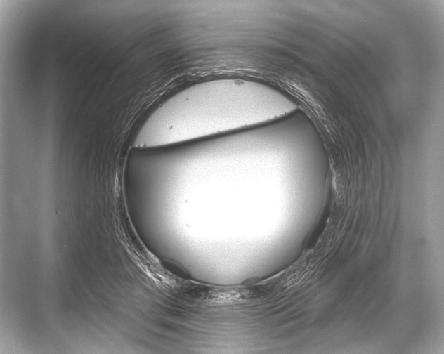 X0000068820405200605050947