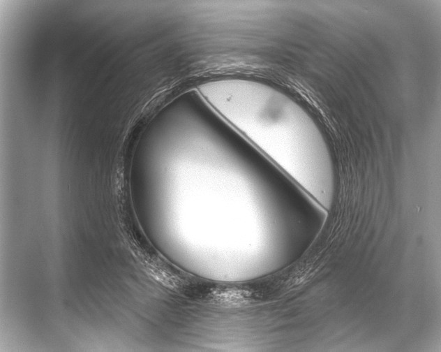 X0000068820407200605050947