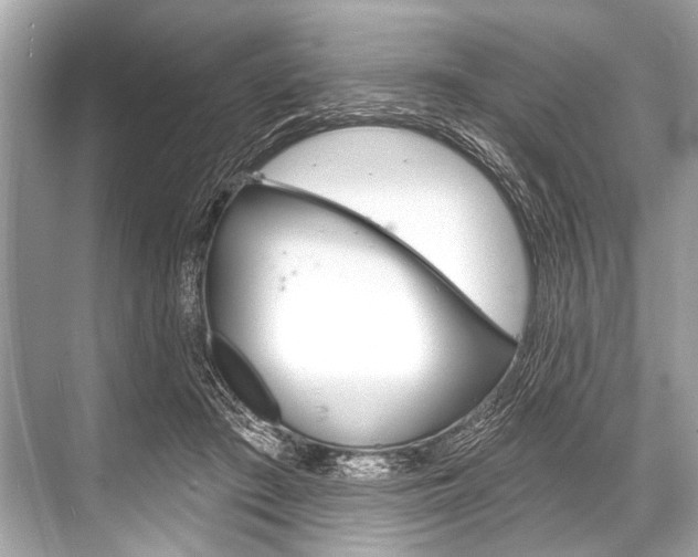 X0000068820409200605050947