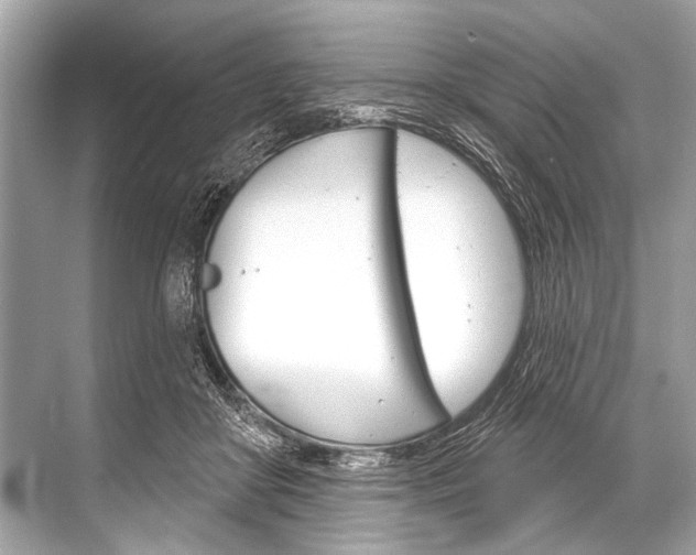 X0000068820410200605050947