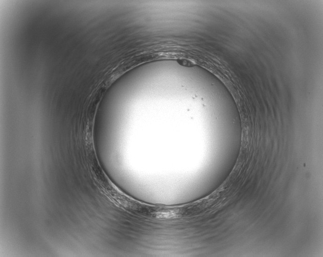 X0000068820411200605050947