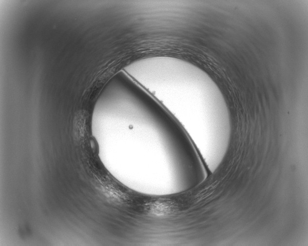 X0000068820412200605050947