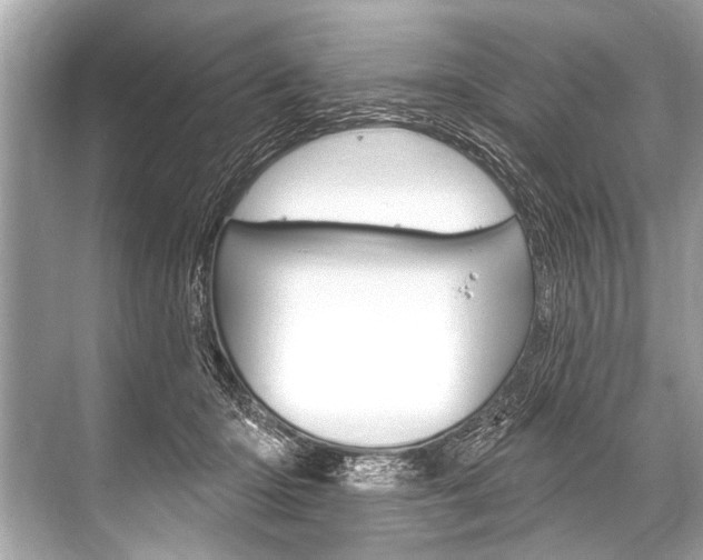 X0000068820414200605050947