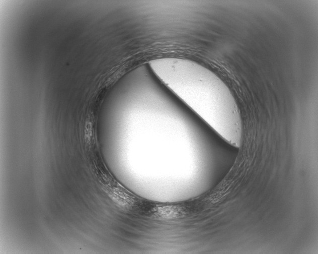 X0000068820417200605050947