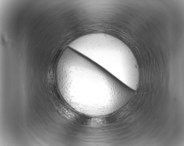 X0000068820418200605050947