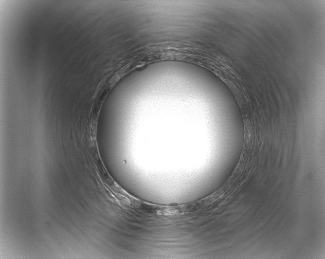 X0000068820419200605050947