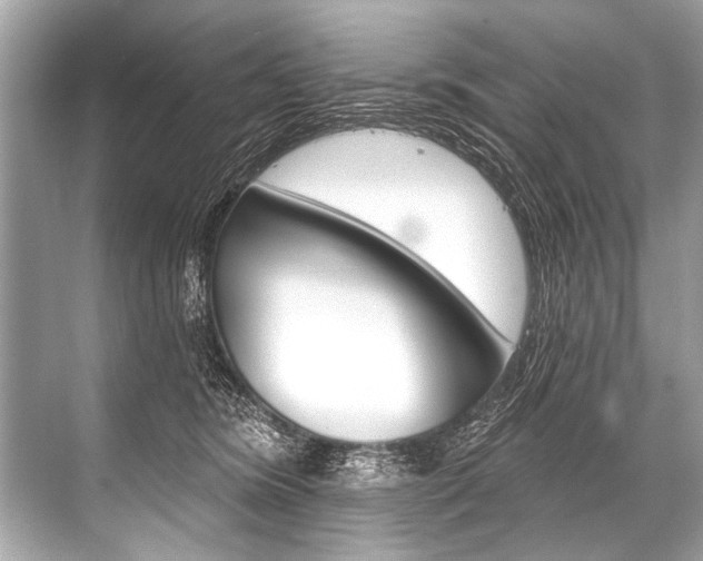 X0000068820420200605050947