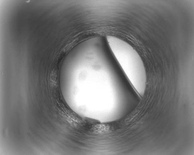 X0000068820421200605050947