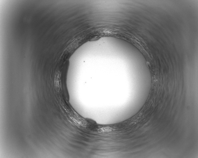 X0000068820423200605050947