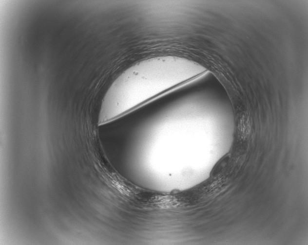 X0000068820424200605050947