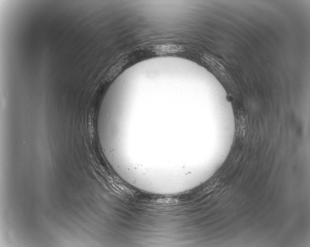 X0000068820426200605050947