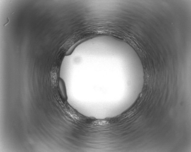 X0000068820427200605050947