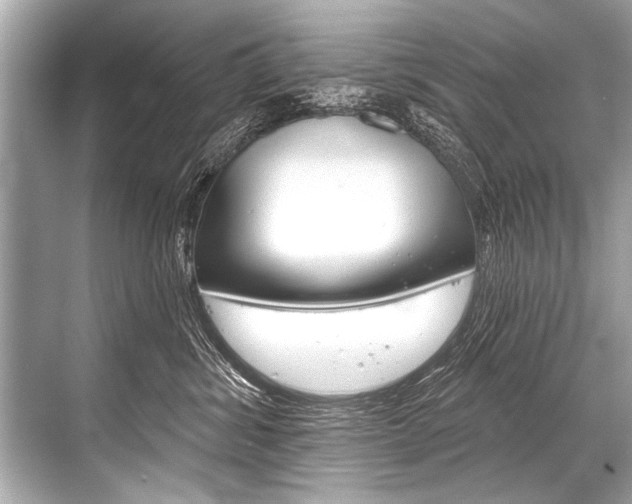 X0000068820428200605050947