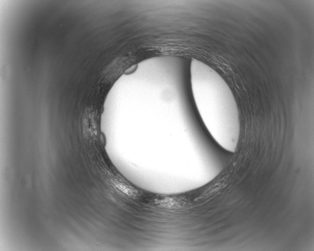 X0000068820430200605050947