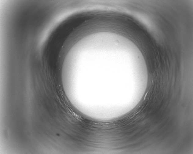 X0000068820431200605050947