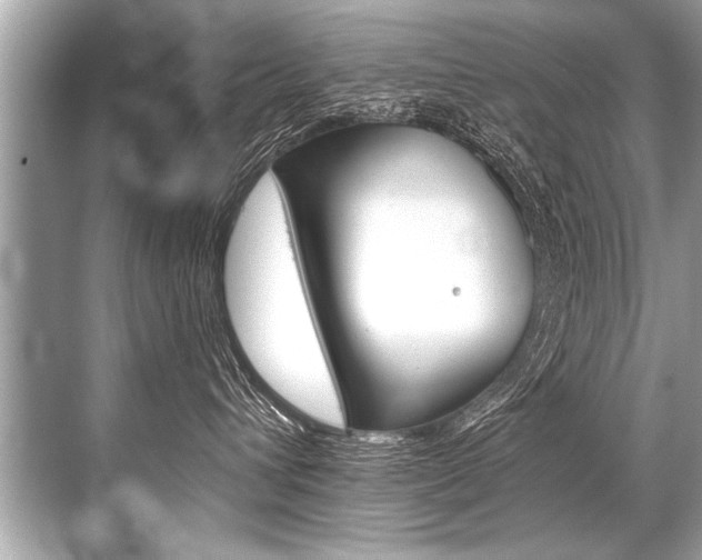 X0000068820432200605050947