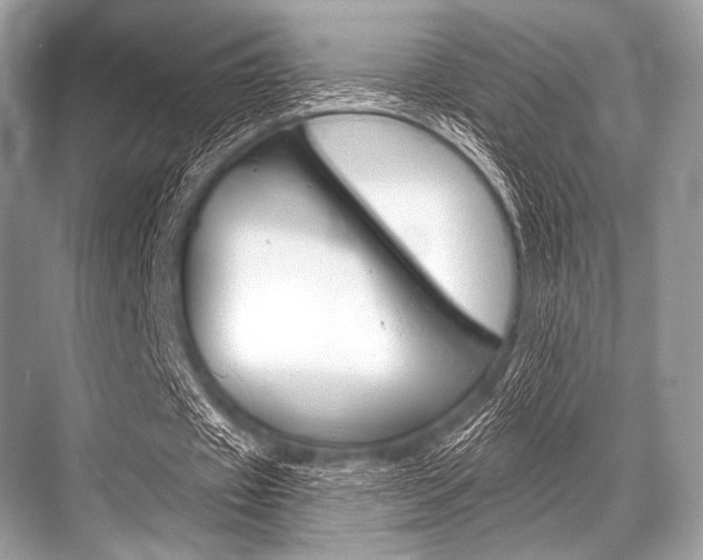 X0000068820433200605050946