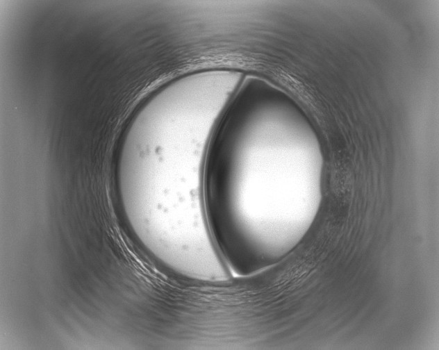 X0000068820434200605050946