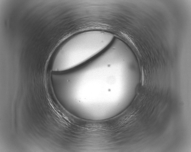 X0000068820435200605050946