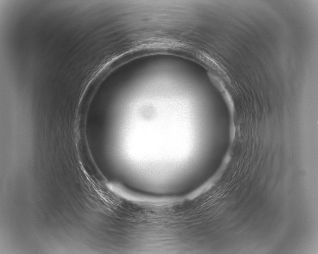 X0000068820436200605050946