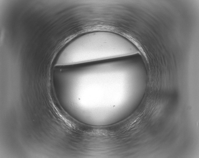 X0000068820437200605050946