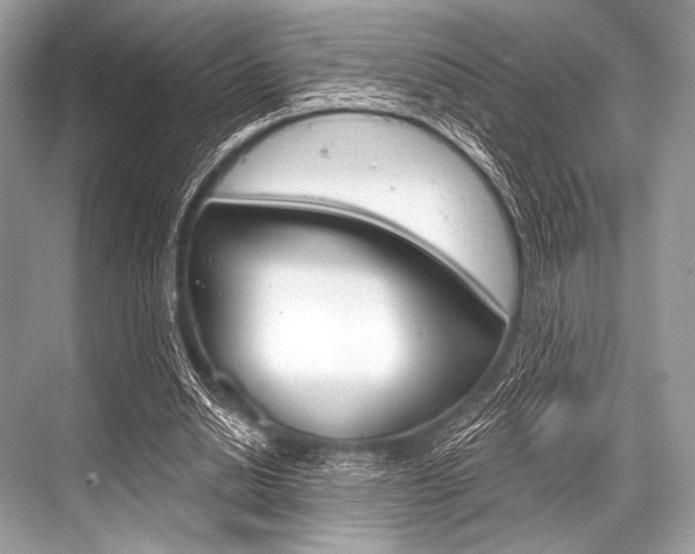 X0000068820438200605050946