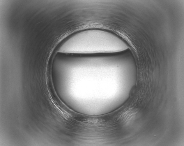 X0000068820439200605050946