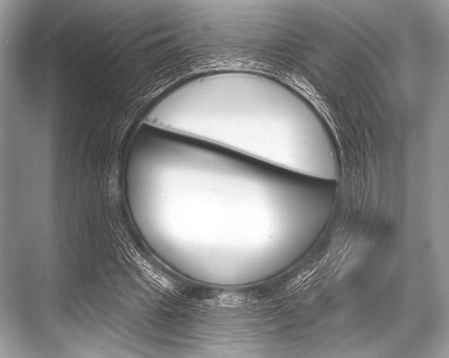 X0000068820441200605050946