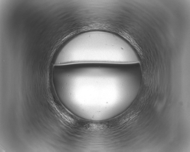 X0000068820442200605050946