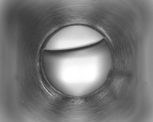 X0000068820443200605050946