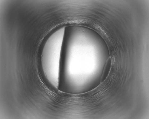 X0000068820444200605050946