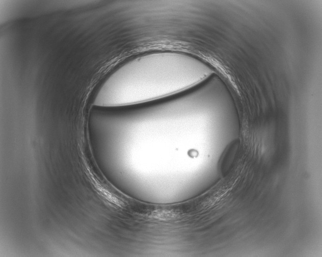 X0000068820445200605050946