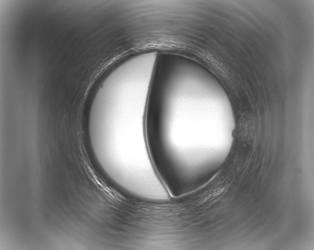 X0000068820446200605050946