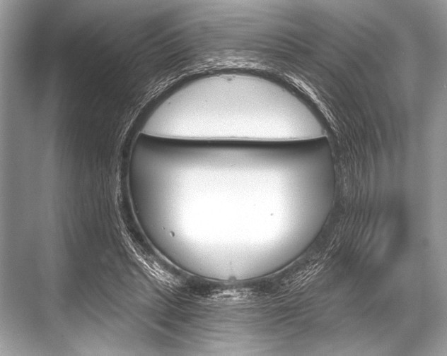 X0000068820447200605050946