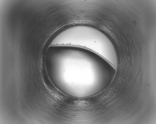 X0000068820448200605050946