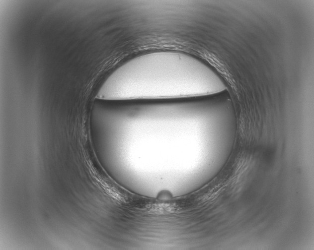 X0000068820449200605050946