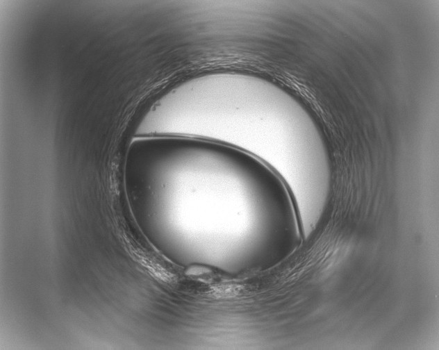 X0000068820450200605050946