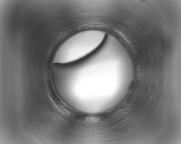 X0000068820451200605050946