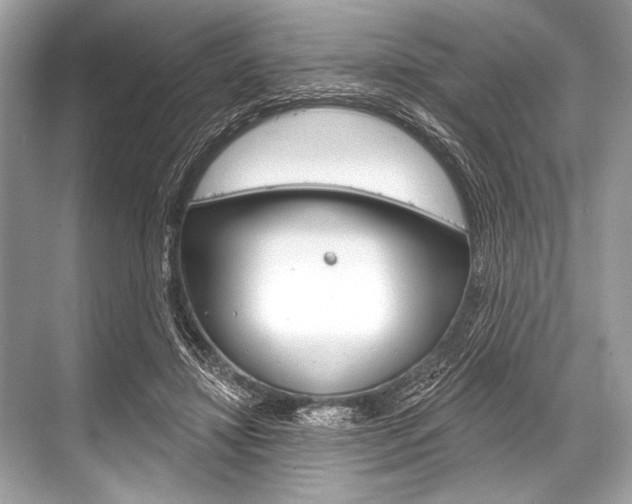 X0000068820452200605050946