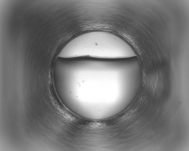 X0000068820453200605050946