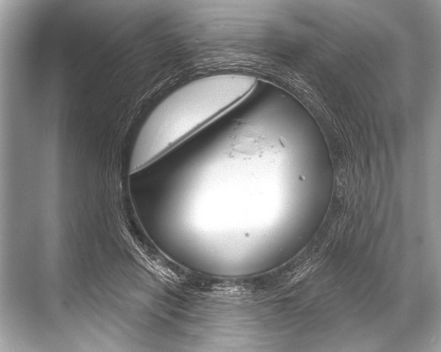 X0000068820454200605050946