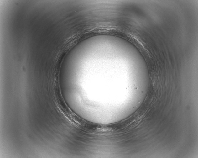 X0000068820455200605050946