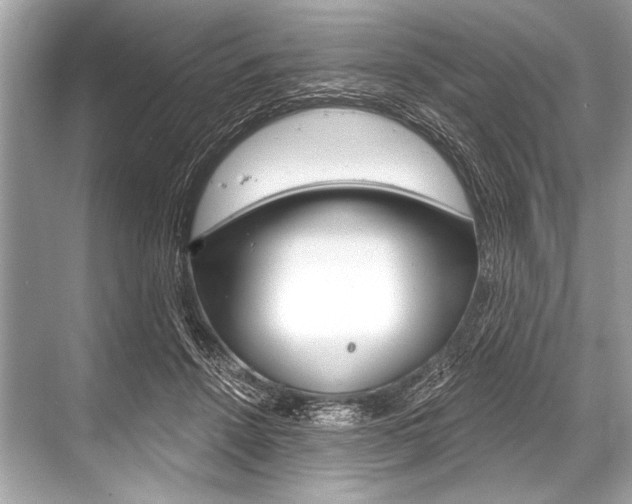 X0000068820456200605050947