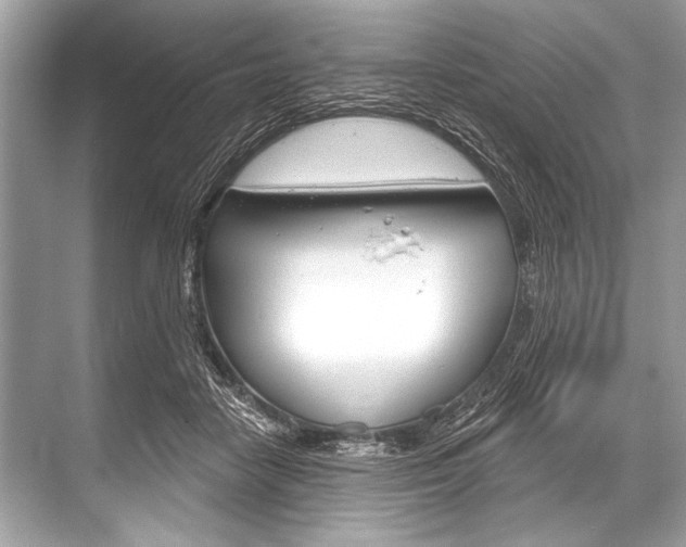 X0000068820458200605050947